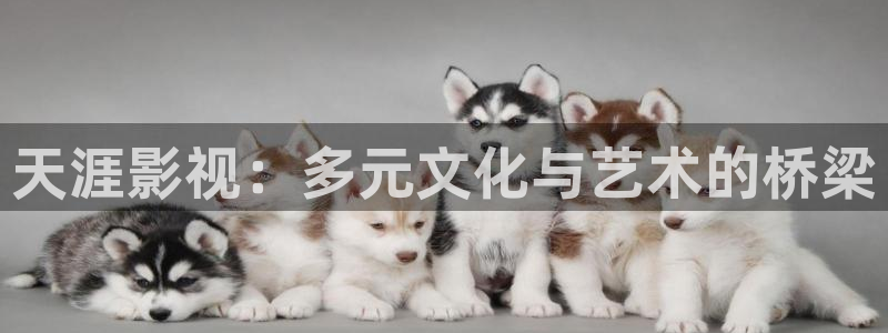 南瓜電影是免費(fèi)的嗎：天涯影視：多元文化與藝術(shù)的橋梁